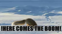 kits/giphy[1].gif